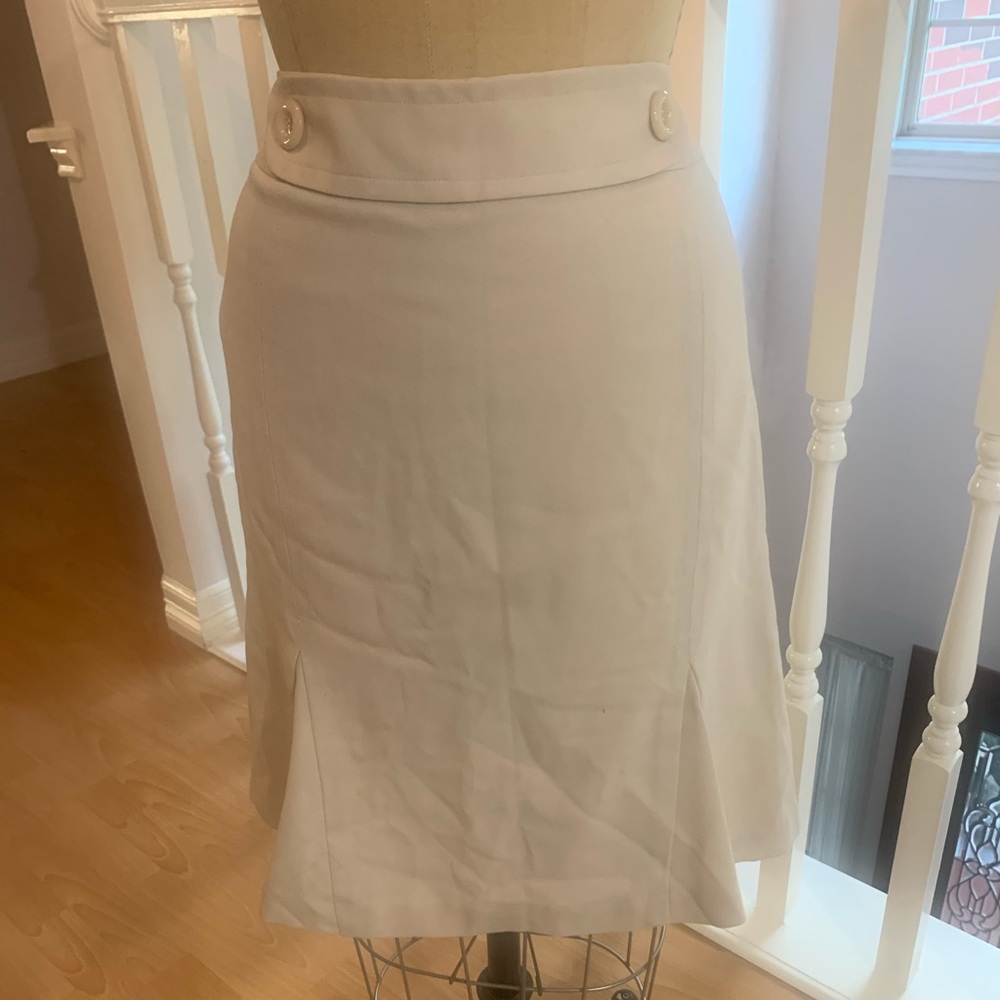 Ann Taylor Skirt Size 8